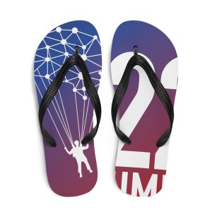 22 Jumps Flip-Flops